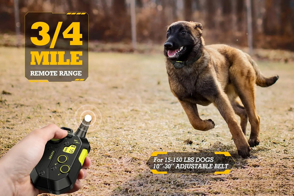 E Collar for Dog Training Large Medium Small 15 to 150lbs 3 or 4 Mile Range Safe Shock with Remote Black Green Two Receivers