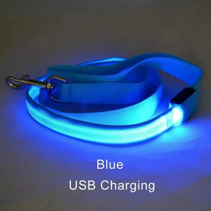 Led Pet Dog Leash Rope With Light Luminous  Lead Leash USB Charging for Dog Safety Flashing Glowing Collar Harness Accessories
