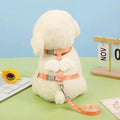 【New style】New Wing Dog Lead Harness Style Dog Leash Medium And Small Breeds Such As Teddy And Corgi Pet Collars