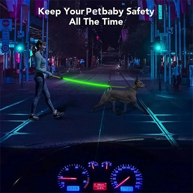 Led Pet Dog Leash Rope With Light Luminous  Lead Leash USB Charging for Dog Safety Flashing Glowing Collar Harness Accessories