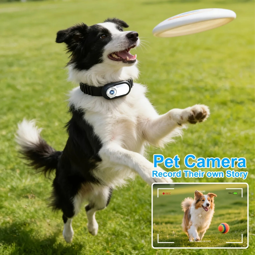 Pet Collar Camera LCD Display HD Outdoor Collar Camera Adjustable Pet Collar Cat Dog Recorder