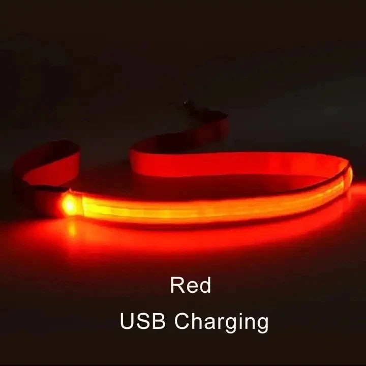 Led Pet Dog Leash Rope With Light Luminous  Lead Leash USB Charging for Dog Safety Flashing Glowing Collar Harness Accessories