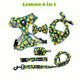 【New style】Dog Harness Suit Include Vest Harness Collar Leash Handkerchief Scarf Poop Bag Accessories Pet Dogs Supplies Set