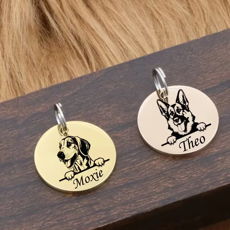 Custom Pet Name Puppy Anti-lost Collars Personalized Cute Engraving Stainless Steel Tag Dog Cat Name Tag Pets Dog Accessories