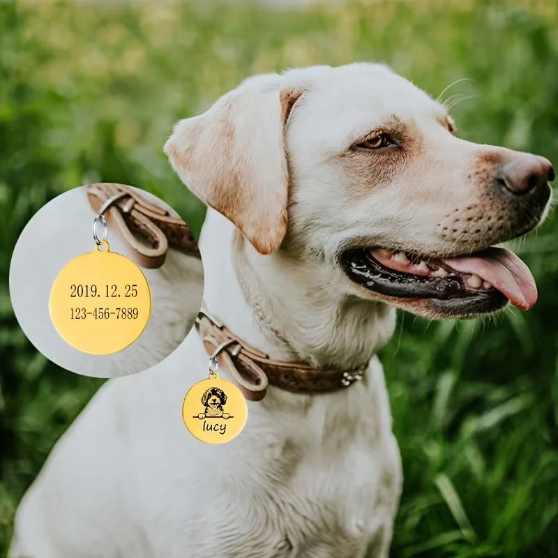 Custom Pet Name Puppy Anti-lost Collars Personalized Cute Engraving Stainless Steel Tag Dog Cat Name Tag Pets Dog Accessories