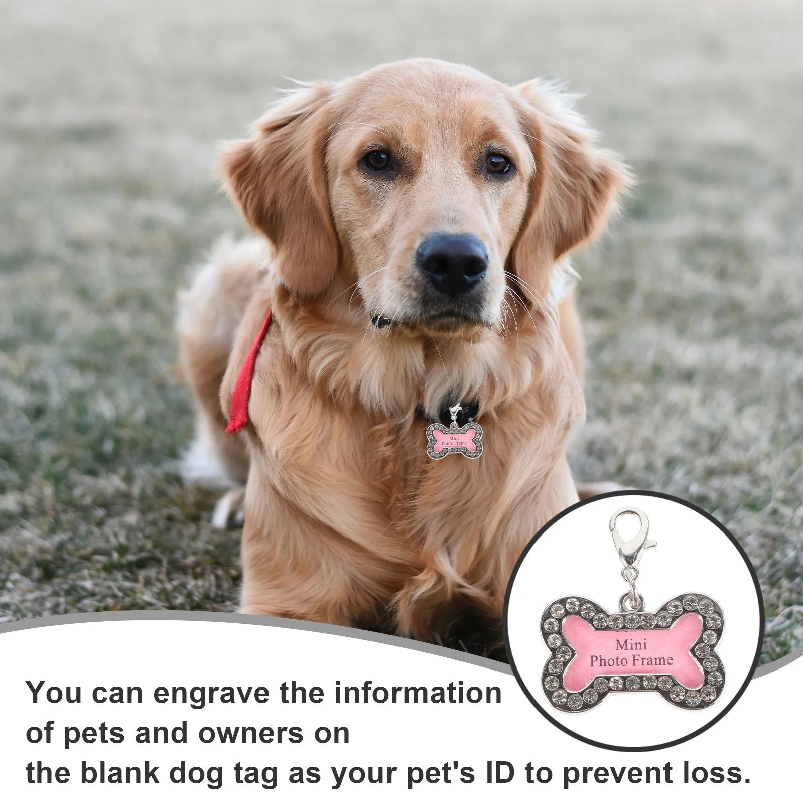 2Pcs Cute Stainless Steel Pet Identity Tags Bone Shaped Dog Name Tags for Small Large Dogs Cats Engraving Collar Charm